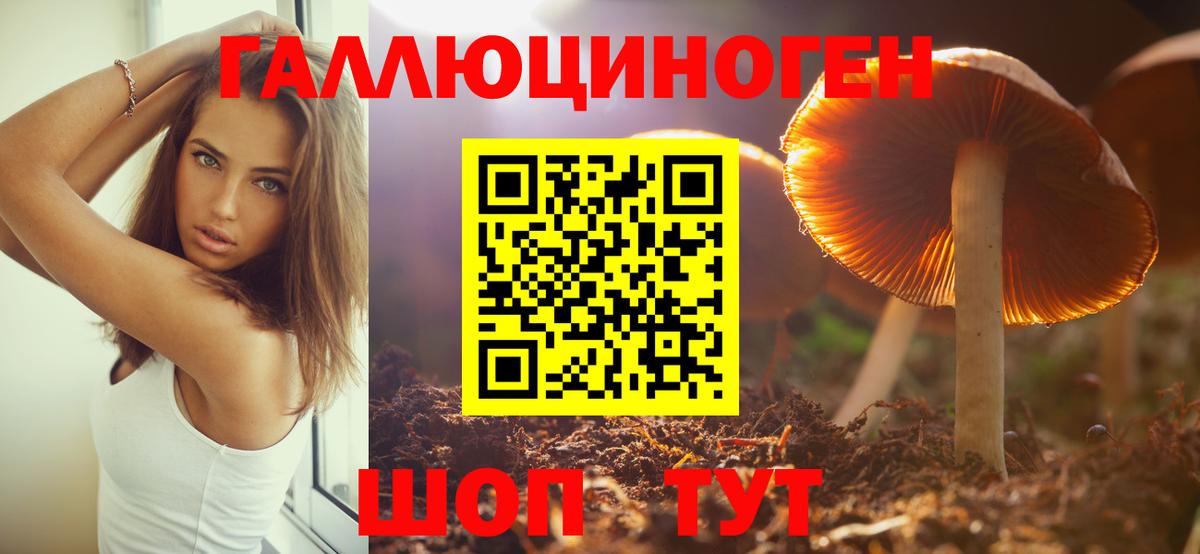 Галлюциногенные грибы Psilocybine cubensis  Галлюциногенные грибы Cubensis  как найти закладки  Вход с VPN  Искитим 