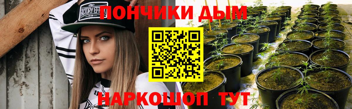 Искитим  Конопля тримм  Конопля планчик  Вход с VPN  Марихуана конопля 